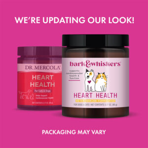 Heart Health for Cats & Dogs