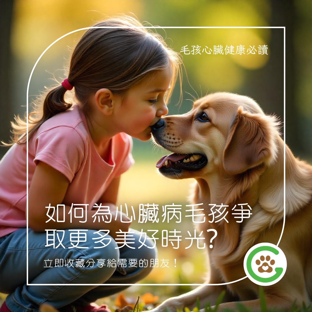 【主子心臟健康必讀】營養管理做對了嗎？關鍵八營養素決定存活率！